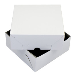 Zwanenhals doos 20x20x9 cm